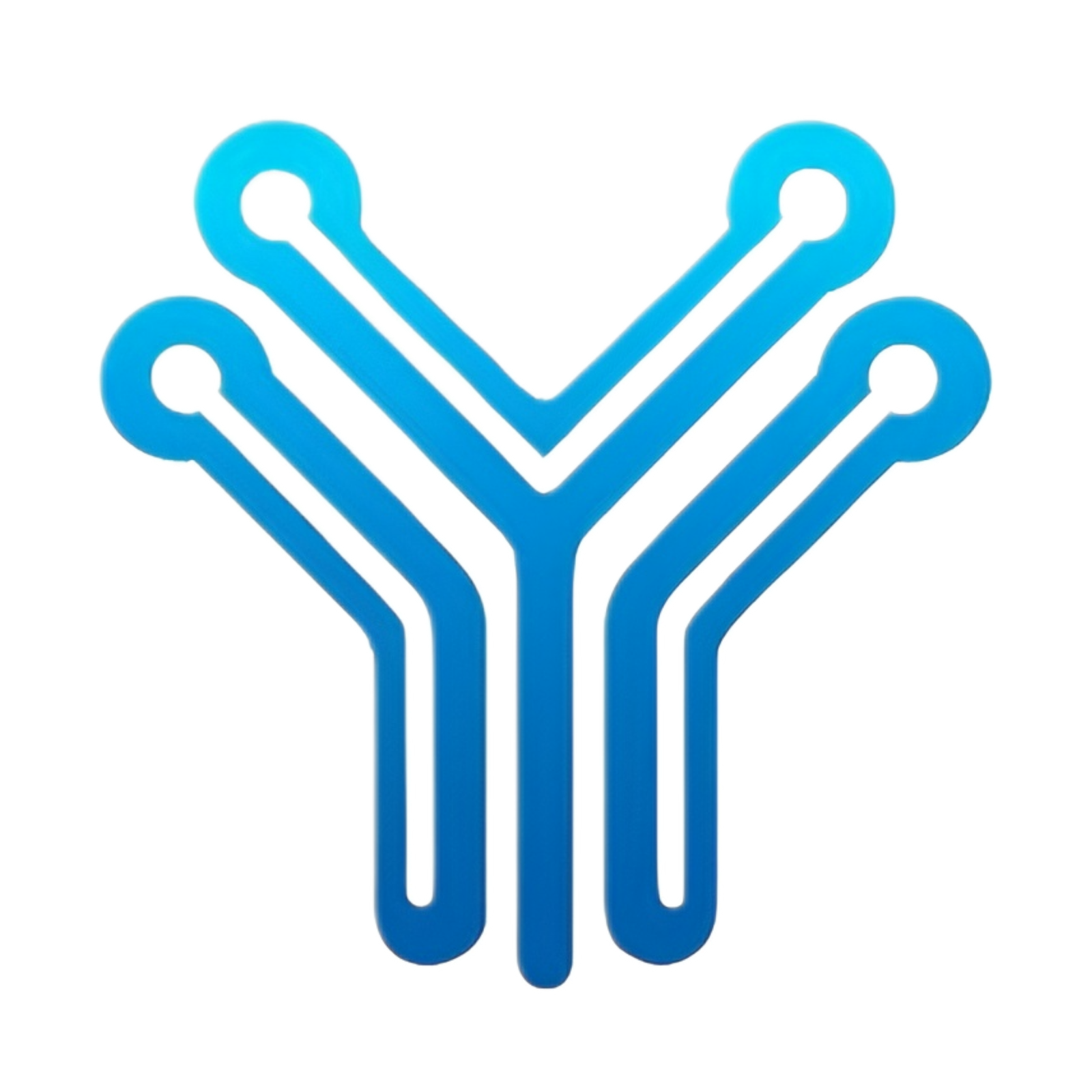 Yang — The Tech Guy